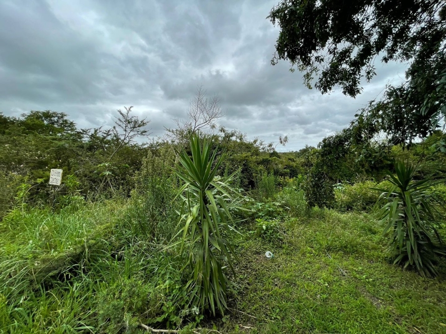 Commercial Property for Sale in Bathurst Eastern Cape